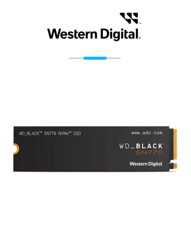 SSD 250G WESTERN DIGITAL BLACK M2 SN770