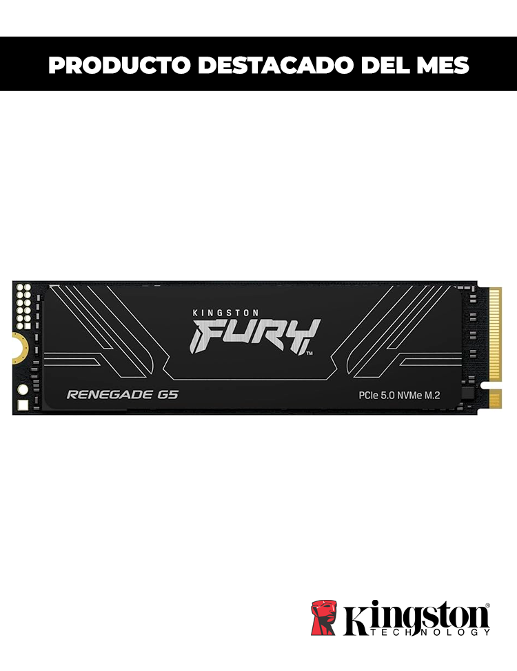 SSD 4096G Kingston Furty Regade G5 NVME