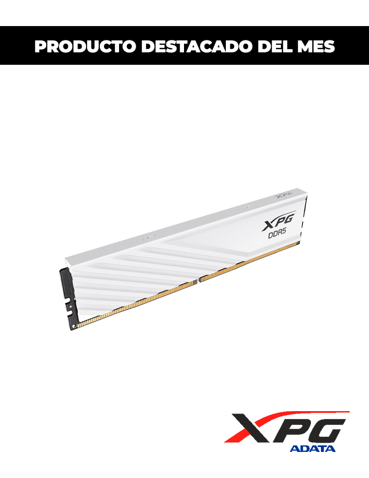 XPG 8G DDR5 5600 LANCER WHITE